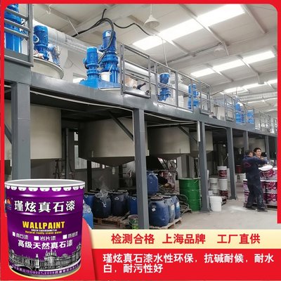 瑾炫品牌岩片真石漆 质感岩彩漆 花岗岩大理石涂料 检测产品