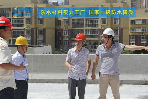 萍乡jbs聚合物改性沥青桥面防水涂料工厂价格